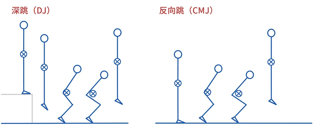 深跳 DJ 與反向跳 CMJ 火柴人分解圖,左側從箱子跨出落地屈膝再起跳,右側直接站地上先下蹲再向上跳
