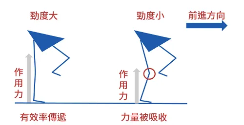 勁度大小的比較。以膝關節為例,先不考慮髖及踝